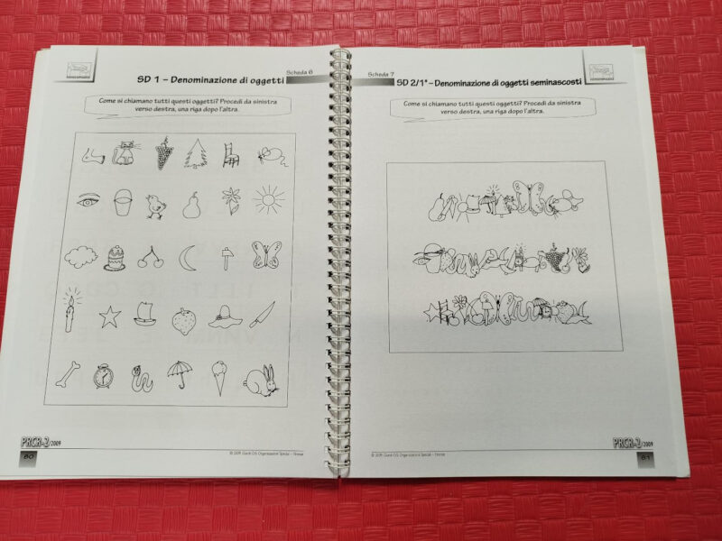 PRCR-2/2009 - Prove di prerequisito per la diagnosi delle difficoltà di lettura e scrittura