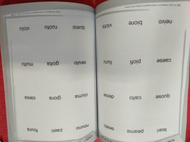 Protocollo logopedico De Filippis - Trattamento per disturbi del linguaggio e dell'apprendimento